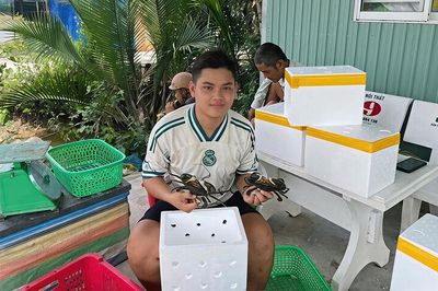Người trẻ trước ngã rẽ 'đi hay ở'