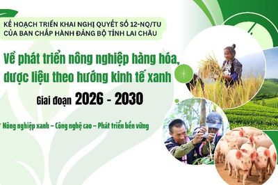 Phát triển nông nghiệp hàng hóa, dược liệu theo hướng kinh tế xanh giai đoạn 2026-2030
