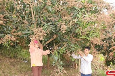 Đổi mới, nâng cao chất lượng hoạt động của Hội Nông dân
