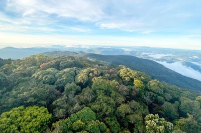 Tuyên Quang: Thúc đẩy phát triển lâm nghiệp bền vững và xuất khẩu xanh