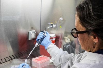 Ổ dịch hantavirus trên tàu tham quan Nam Cực