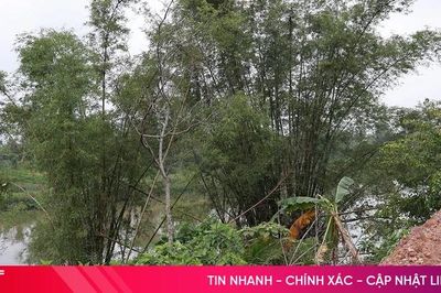 Sạt lở bờ sông Ngàn Phố uy hiếp nhà dân ở xã Sơn Giang