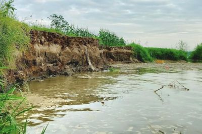 Sạt lở bờ sông tại thôn Năm Mẫu: Xã từng đề nghị công ty khai thác cát tạm dừng hoạt động