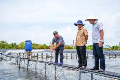 Nguyên Phó Chủ tịch Quốc hội Lê Minh Hoan khảo sát các mô hình kinh tế ven biển Cà Mau