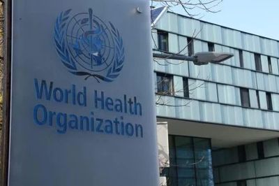 Ngăn chặn nguy cơ lây lan virus Hanta