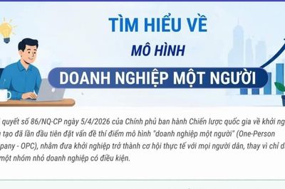 Thí điểm mô hình 'doanh nghiệp một người', thúc đẩy kinh tế số