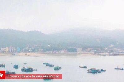 4 ngư dân mất tích trên vùng biển Cô Tô được đưa vào bờ an toàn