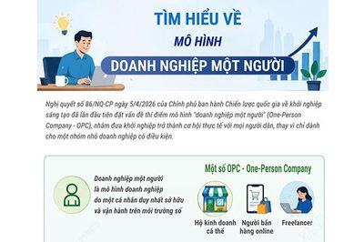Tìm hiểu về mô hình 'Doanh nghiệp một người'