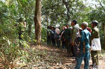 Phát triển kinh tế rừng bền vững