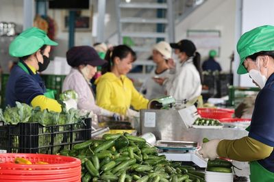 Lâm Đồng: Khẳng định vai trò nòng cốt của Mặt trận trong hành trình chuyển đổi xanh