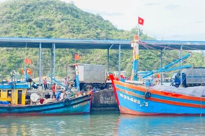 Khắc phục triệt để tồn tại, hạn chế trong chống khai thác IUU