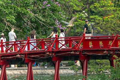 Chim hoang dã tạo khung cảnh yên bình giữa phố thị Hà Nội