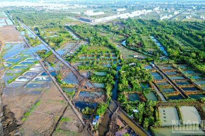 Cà Mau 'chốt' mốc thời gian bồi thường vụ cá chết