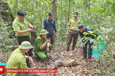 Gia Lai: Vườn Quốc gia Kon Ka Kinh thả 8 cá thể động vật quý hiếm về tự nhiên
