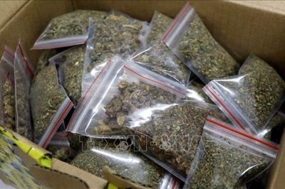 Chiến dịch quốc tế đánh sập 'cao tốc cocaine' trên biển