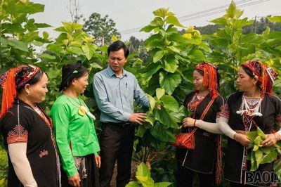 Giữ chữ tín với nông dân giữa biến động thị trường