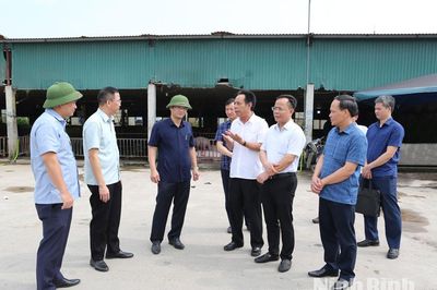Đồng chí Phó Chủ tịch UBND tỉnh Trần Anh Dũng kiểm tra hoạt động buôn bán, vận chuyển và giết mổ gia súc, gia cầm tại xã Bình An và xã Bình Giang