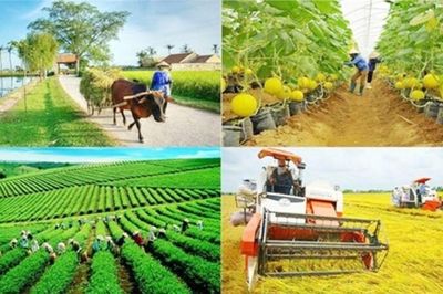 Sắp có hướng dẫn về tiêu chí tài chính trong xây dựng nông thôn mới giai đoạn 2026 - 2030