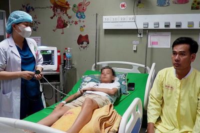 Cứu kịp thời bệnh nhi bị ong vò vẽ đốt hơn 70 vết