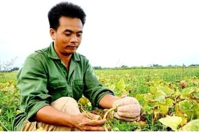 Vốn ngân hàng 'thay áo' những vùng quê