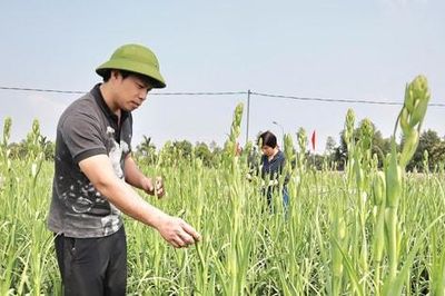 Xã Hát môn phấn đấu đến năm 2030 đạt chuẩn nông thôn mới hiện đại