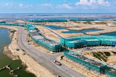 Thay đổi kỳ lạ sau một năm ở 'siêu dự án' lấn biển Cần Giờ