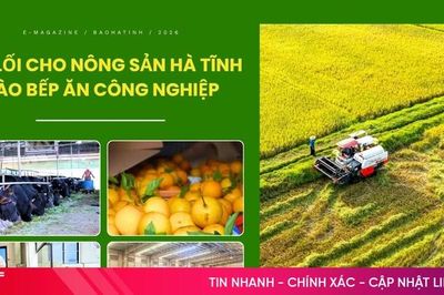 Bài 1: Cung cầu thực phẩm - 'gần mà xa'