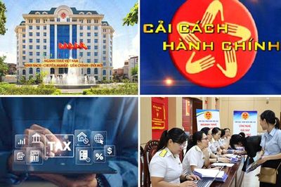 8 thủ tục hành chính được bãi bỏ trong lĩnh vực quản lý thuế