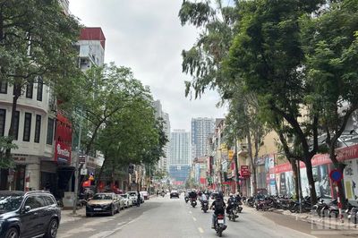 [Ảnh] Hà Nội: Diện mạo mới trên tuyến phố Nguyễn Tuân