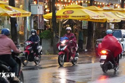 Mưa đầu mùa 'giải nhiệt' Đồng Tháp sau những ngày nắng nóng