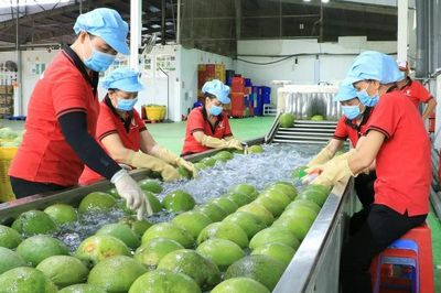 Chuẩn hóa mã số vùng trồng để bảo vệ thương hiệu nông sản Việt