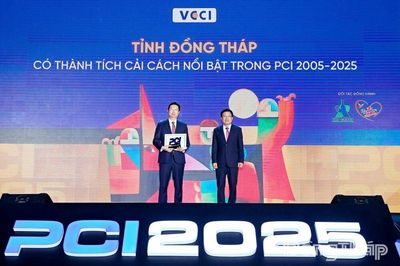 Đồng Tháp vào tốp 3 các tỉnh, thành phố có thành tích cải cách nổi bật trong 20 năm PCI