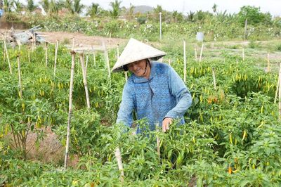 Phụ nữ vùng thanh long linh hoạt chuyển đổi cây trồng