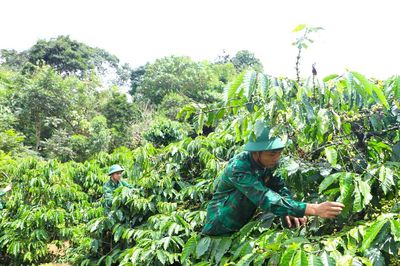 'Thực túc, binh cường' ở biên giới