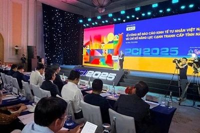 Kinh tế tư nhân bền bỉ chống chịu và sẵn sàng bứt phá