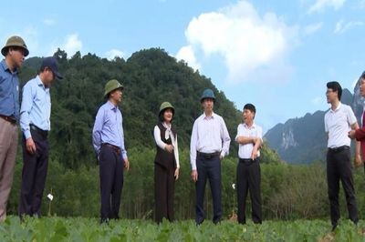 Chứng nhận hữu cơ EU - Bước ngoặt cho nông sản Trường Sơn
