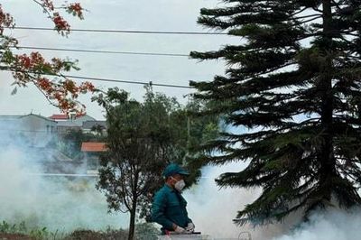 Hà Nội hưởng ứng Ngày ASEAN phòng, chống sốt xuất huyết