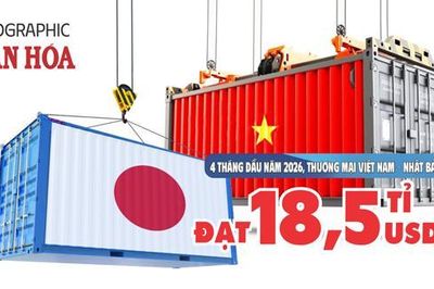 Thương mại Việt - Nhật cán mốc 18,5 tỉ USD, Việt Nam xuất siêu hơn nửa tỉ USD