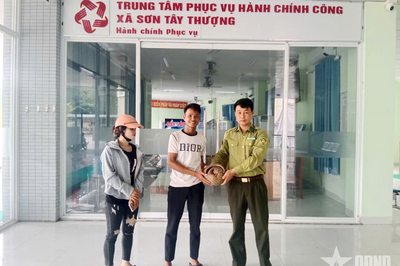 Quảng Ngãi: Người dân tự nguyện giao nộp cá thể tê tê Java quý hiếm