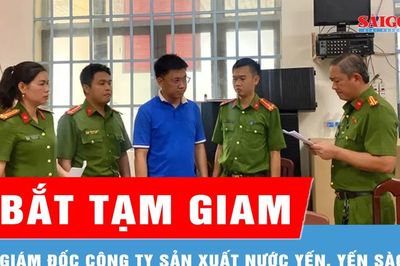 Bắt giám đốc công ty sản xuất nước yến, yến sào giả