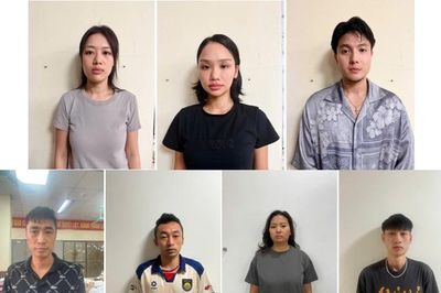 Khởi tố, bắt tạm giam ca sĩ Miu Lê