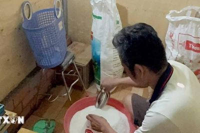 Thành phố Hồ Chí Minh triệt phá đường dây sản xuất hơn 4 tấn bột ngọt giả