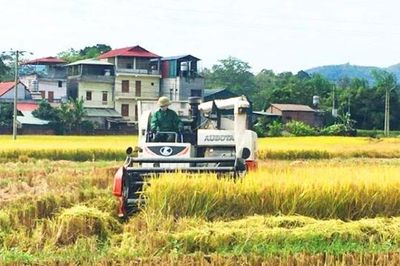 Xã Hòa An tăng tốc cơ giới hóa nông nghiệp, nông dân nhàn hơn, năng suất tăng mạnh