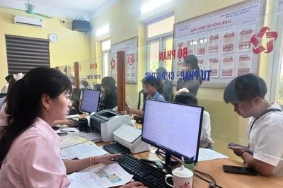 Thanh Hóa hoàn thành điều tra cơ sở hành chính, sự nghiệp năm 2026