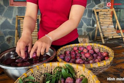 Loại quả mùa hè chống oxy hóa, làm đẹp da