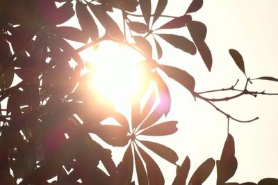 Nắng nóng ở cả 3 miền, nhiều nơi chiều tối mưa dông