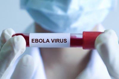 WHO cảnh báo khẩn cấp dịch Ebola, Bộ Y tế ra thông báo mới