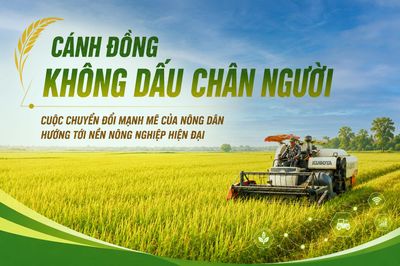 Cánh đồng không dấu chân người - cuộc chuyển đổi mạnh mẽ của nông dân hướng tới nền nông nghiệp hiện đại.