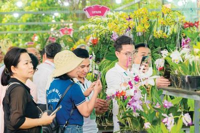 Ngắm vườn Huế, kiểng Huế - Nghĩ đến sức hút mới của đô thị di sản