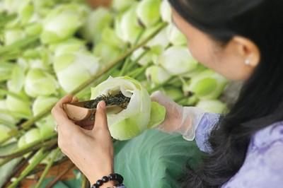 Sen ngự hồ Tịnh